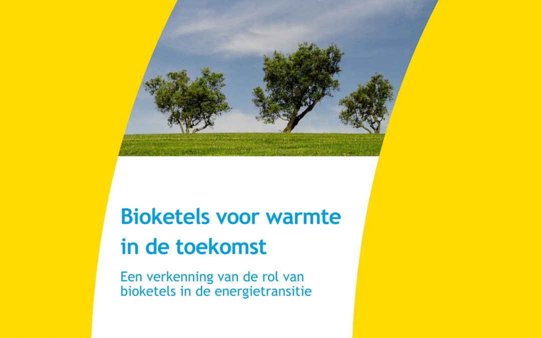 Biomassaketels voor warmte in de toekomst